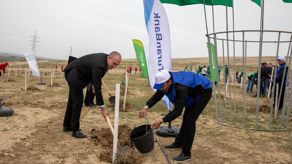 TuranBank ağacəkmə aksiyasında iştirak edib